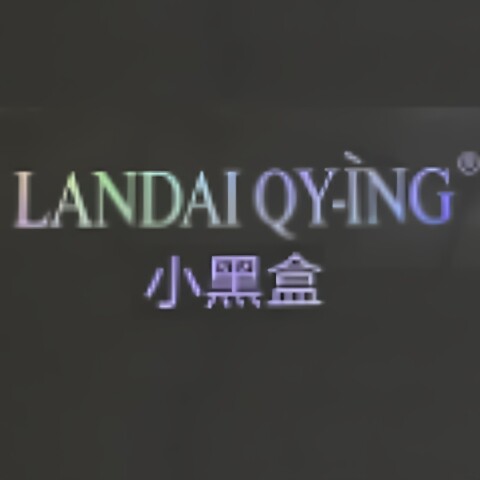 国际大牌优选店的LOGO