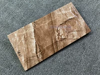 1081 Имитация грибной каменной настенной плитки