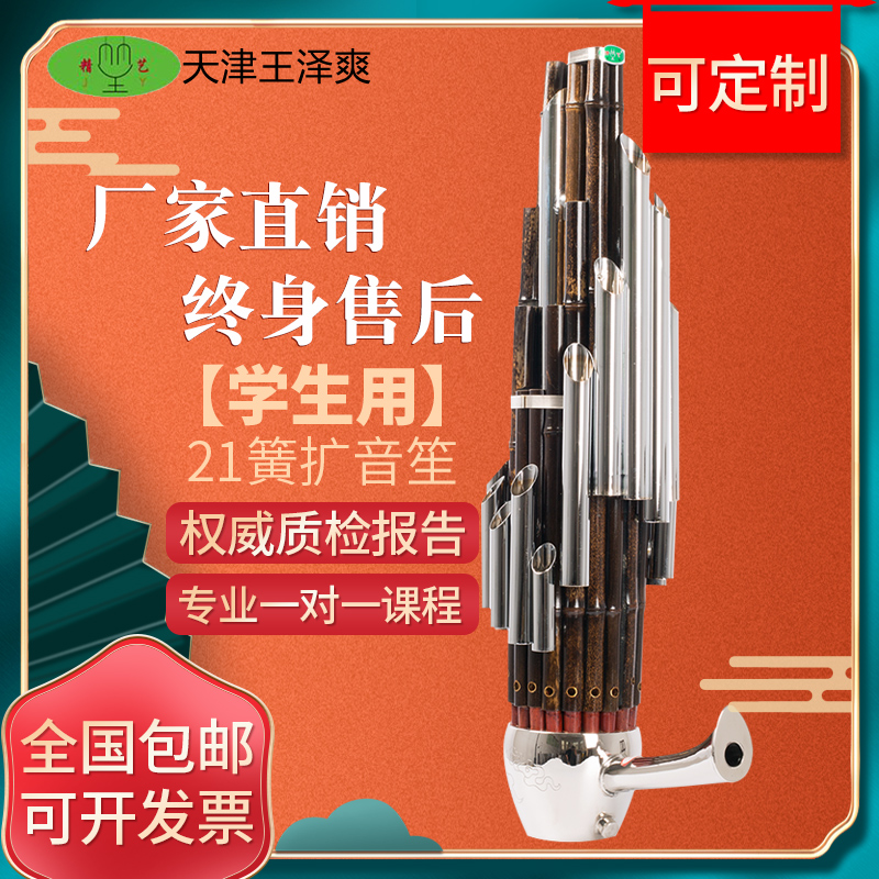 21 reed D-tone C-tone amplification sheng semi-amplified sheng musical instrument essence Wang Zeshuang children's primary school students beginner solo elective