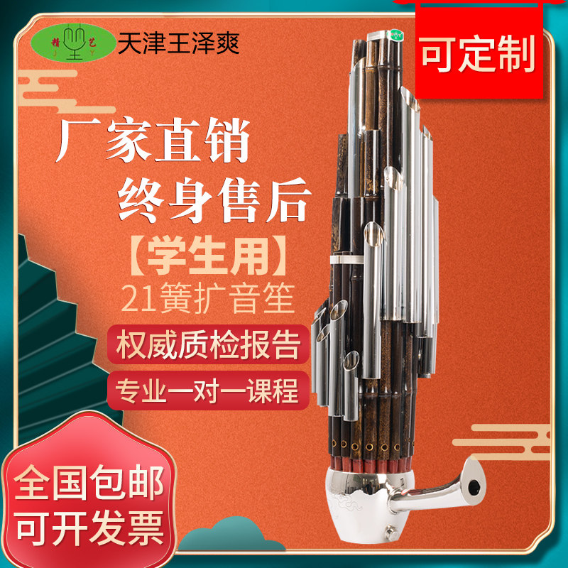 21 reed D-tone C-tone amplification sheng semi-amplified sheng musical instrument essence Wang Zeshuang children's primary school students beginner solo elective