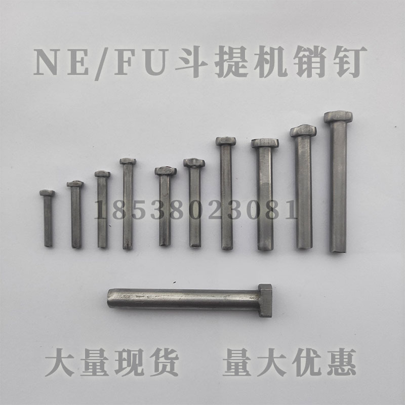  Ne100 Chain Hoist Accessories Bucket Hoist Pin T-Shaped Pin Flat Head Pin Pin Shaft Large Quantity Preferential Price