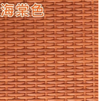 Бегония импортированная пейза