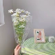 Белый 5+yingwen bag+кружево