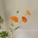 Высокий yumeiren Orange