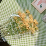 3 БЕСПЛАТНАЯ ДОСТАВКА Свежая белая цыпочка цветы.