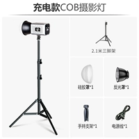 Дорожная портативная лампа, торшер