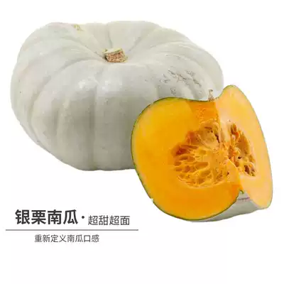 Fruit silver chestnut pumpkin seeds green chestnut sweet waxy chestnut small pumpkin seeds Four Seasons sown vegetable seed vegetable seed vegetable seed