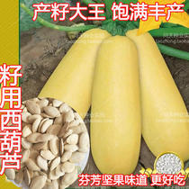 (Zucchini seeds for seed King seeds) Seeds for seed production Special vegetable seeds for seeds Seeds fragrant and high yield