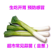 Garlic seedlings vegetable seeds Leek seeds vegetable seeds high yield and disease resistance.