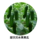 Sweet Beibei 500 капсулы