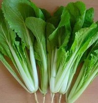 Four seasons cabbage seeds are delicious and easy to grow vegetable seeds Four seasons can be sown ornamental fruits and vegetables are more suitable for novices