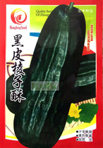 Black-skinned shuttle crispy melon seeds Melon seeds Vegetable seeds Melon seeds Vegetable seeds Raw pickled stir-fried