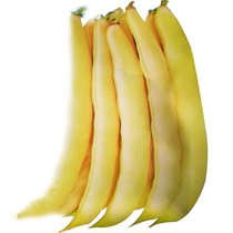 Golden hook ground bean set bean seeds no tendons no firewood disease resistance high yield mountain drum bean seeds vegetables and fruits