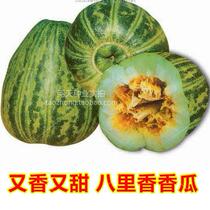 Extra-large Bali melon seeds vegetable seeds high-yield varieties sweet and sweet melon seeds