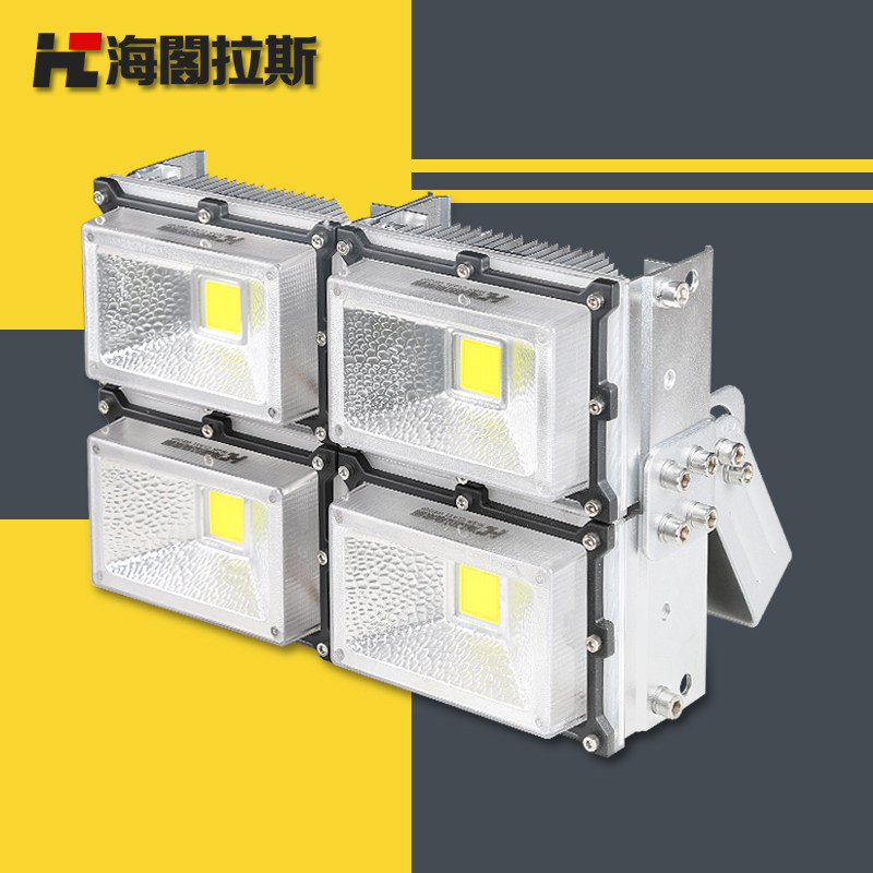 ������˹ledͶ���HC-GTG02-30W