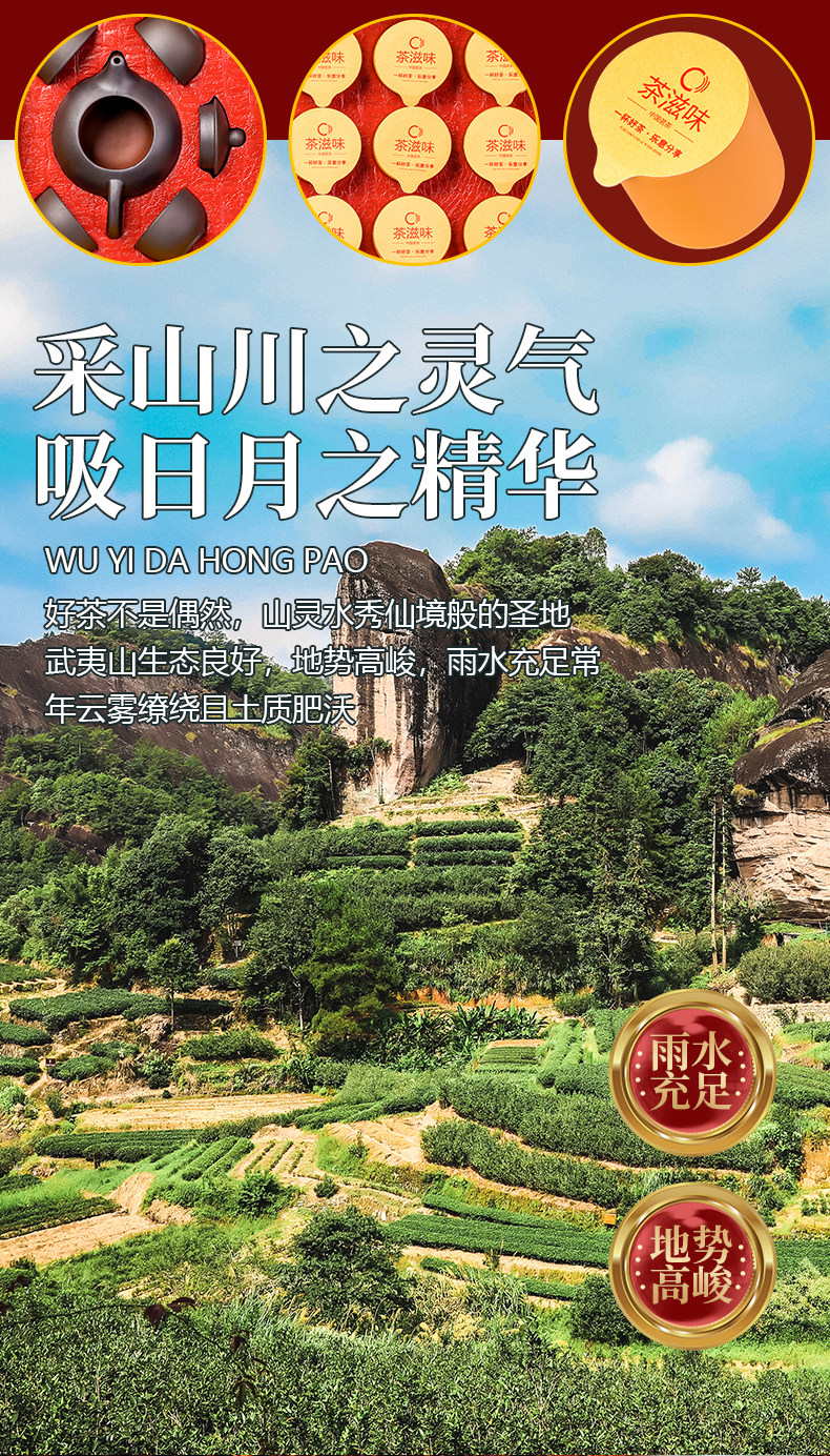 天地观音 特级大红袍 精美礼盒装 108g+一壶四杯 图8