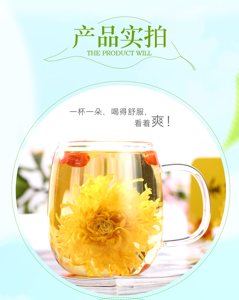 【买1送1】贡菊金丝皇菊2盒共50朵