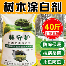 Tree whitening agent brush trunk quicklime powder fruit tree anti-insect sterilization cold-proof antifreeze warm big tree whitening agent