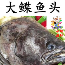 Greenland Dipper Fish Head 500g Deep Sea Fish Frozen Fresh Big Fish Head Whole Store Eight Jin Shunfeng
