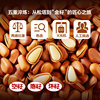Bestore 2025 Northeastern Pine Nuts 500g Hand-Peeled Extra Large Open Pine Nuts in Jar Packaged Dried Nuts New Stock