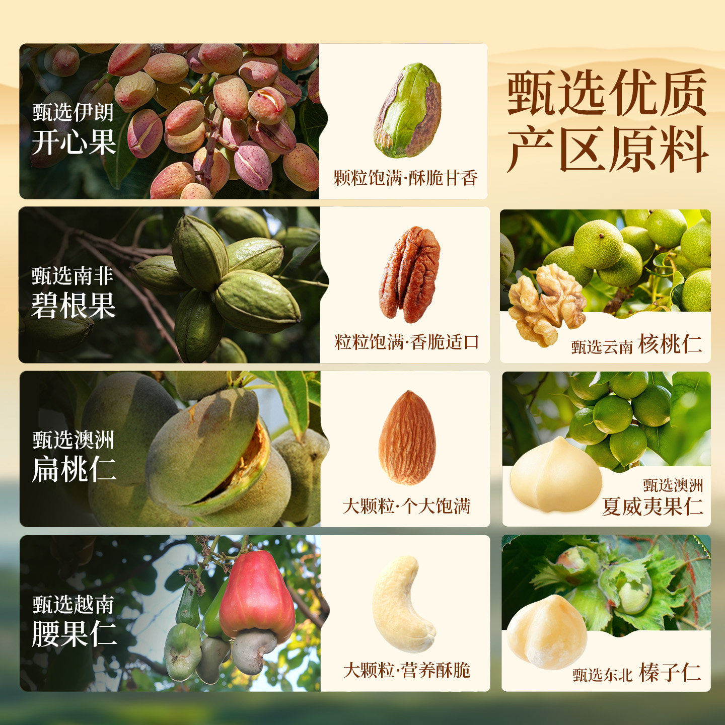 Bestore Low Gi Pure Nuts Daily Nuts 750g/30 Packs Healthy Gift Snack Mixed Dried Fruits and Nuts