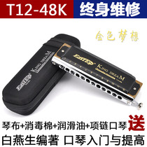  Dongfang Ding 12-hole chromatic harmonica C tune T1248K Golden dreamer Professional playing Challenger 16 harmonica