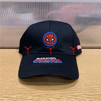 Черный паук -ман (бейсболка)