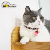 Этнический безопасный чокер, колокольчик с кисточками, ожерелье, аксессуар, домашний питомец, этнический стиль, кот