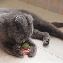 Spinning catnip ball cat snack toy to pass the time molars licking