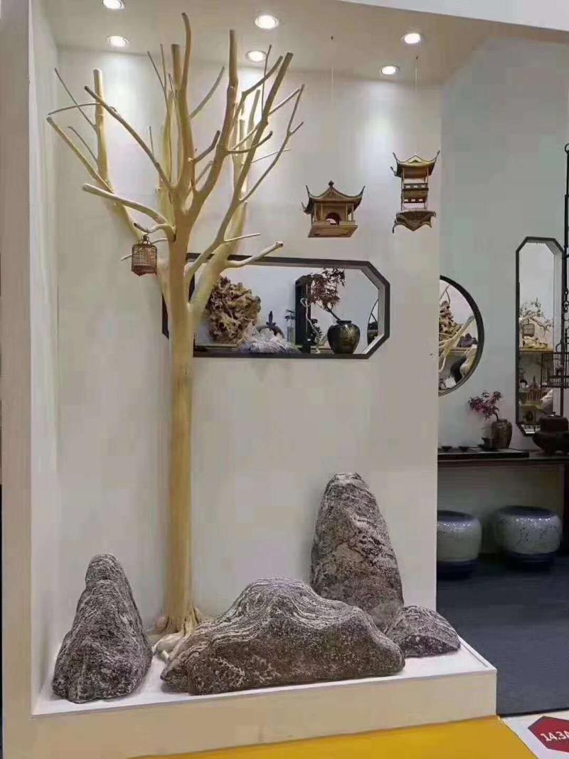 Natural shape dead tree real tree bleached, peeled and polished landscape dry branch window decoration original ecological smooth Hongyun tree