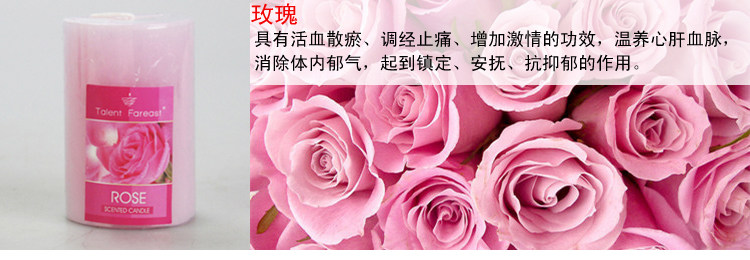 Bougie      - Ref 2487793 Image 20