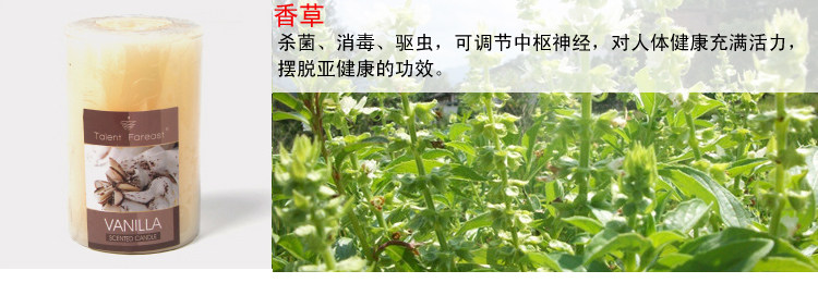 Bougie      - Ref 2487793 Image 12