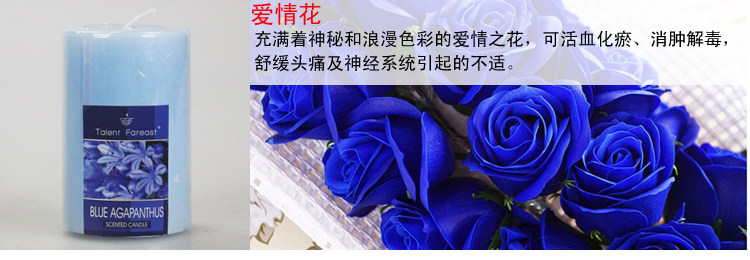 Bougie      - Ref 2487793 Image 18