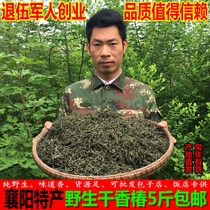 Dried toon buds Xiangyang specialty farmers homemade dried wild tender fragrant spring leaves dried vegetables 5 pounds bun dumpling stuffing