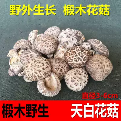 Tianbai flower mushroom Basswood wild dried Xiangru Hubei specialty farm mushroom premium Fangxian small flower mushroom dried goods 500g