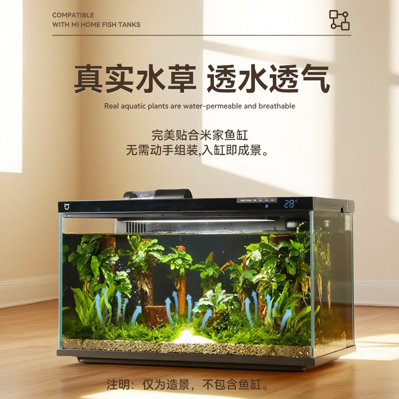 古比鱼专属森林造景套餐:让你的小米鱼缸变身热带雨林秘境!-水族服务-淘宝好物网