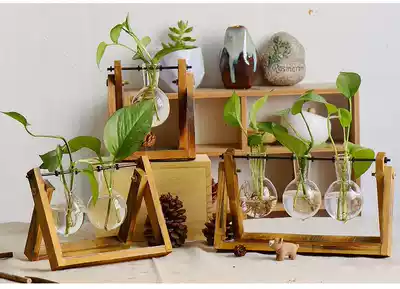 Reggio classroom ring natural element teaching aids material green plant vase observation rhizome water level knocking sound