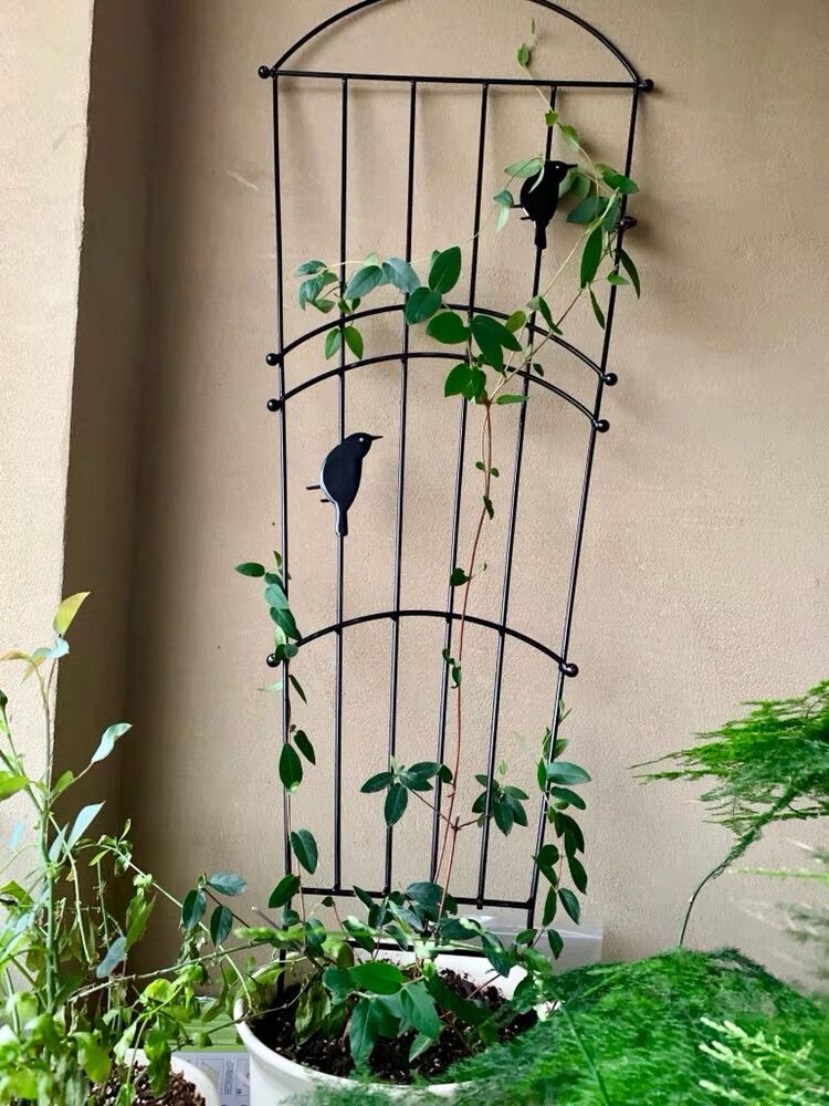 Two pieces of iron art Little bird land insert mesh sheet frame flower curtain rack climbing frame Gardening Screen Iron Wire Lotus shelf