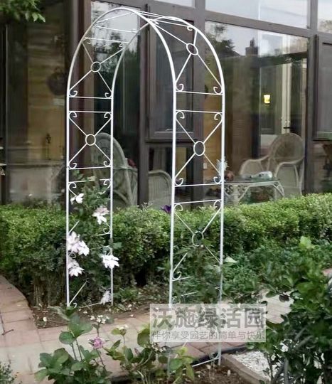 Садовая беседка из клематиса в европейском стиле