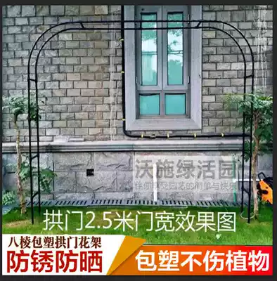 Bold simple European flower arch flower frame climbing vine Lingxiao European moon clematis climbing vine plants