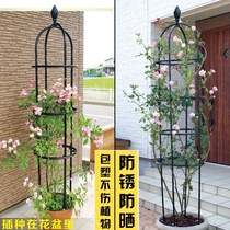 New product bold 16mm clematis vine rose shelf gardening bracket Vine rose flower stand