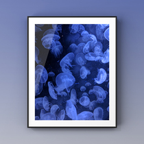  Spot｜BLUE JELLYFISH Blue JELLYFISH｜AHD art printing art photography living room hanging painting
