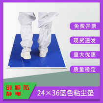 Sticky mat removable dusty floor mat clean room foot rubber mat sole sticky floor glue workshop door dust removal mat