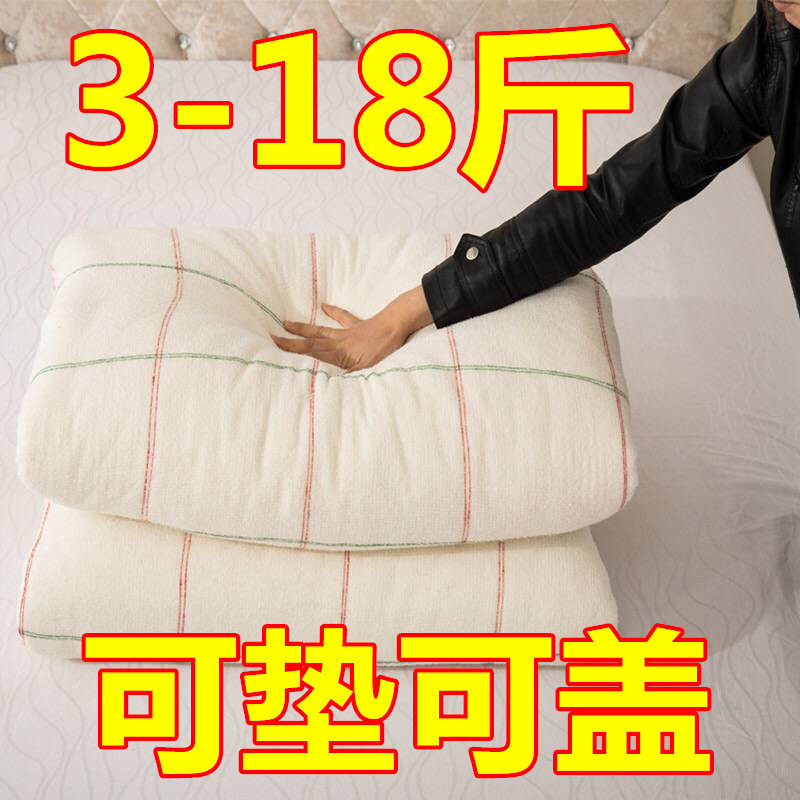 10 pounds 12 winter quilt thickened warm quilt core net red quilt double silk cotton spring and Autumn quilt winter single 8