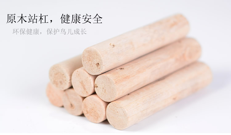 Chim cung cấp thép không gỉ vòng vẹt chân vòng mắt cá chân hổ da peony vẹt đồ chơi đu chim lồng phụ kiện - Chim & Chăm sóc chim Supplies siêu thị lồng chim