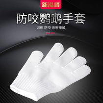 Pet parrot hand-raised anti-bite gloves Flying gloves Tiger skin peony parrot gloves Bird accessories steel wire gloves