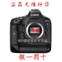 Canon / Canon EOS-1D X Mark II Máy ảnh DSLR hàng đầu khung hình đầy đủ Canon 1DX2 - SLR kỹ thuật số chuyên nghiệp máy ảnh full frame