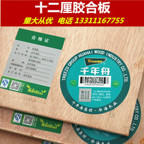 Millennium boat E1 class 12mm poplar core multi-layer board Solid wood plywood decoration board Woodworking board Engineering splint