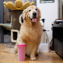 Gold Mao Seven Baojiao American DEXAS pooch washing foot cup washing machine with a soft silicone brush massage to go to the sludge