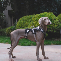 Golden Mao Seven precious home Hurtta Humvee dogs with mountaineering sports chest back cars Safe chest back assisted walking